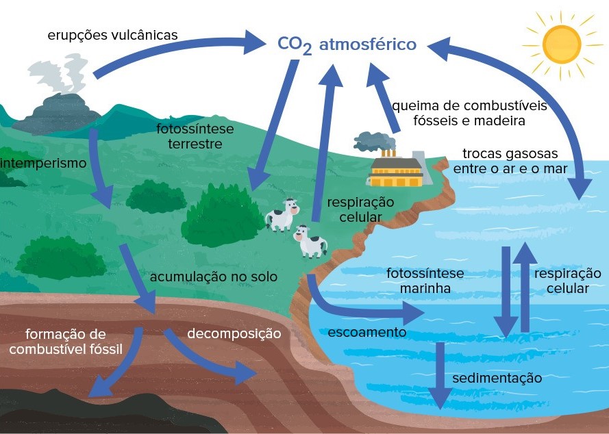 Figura 1: Ciclo do Carbono